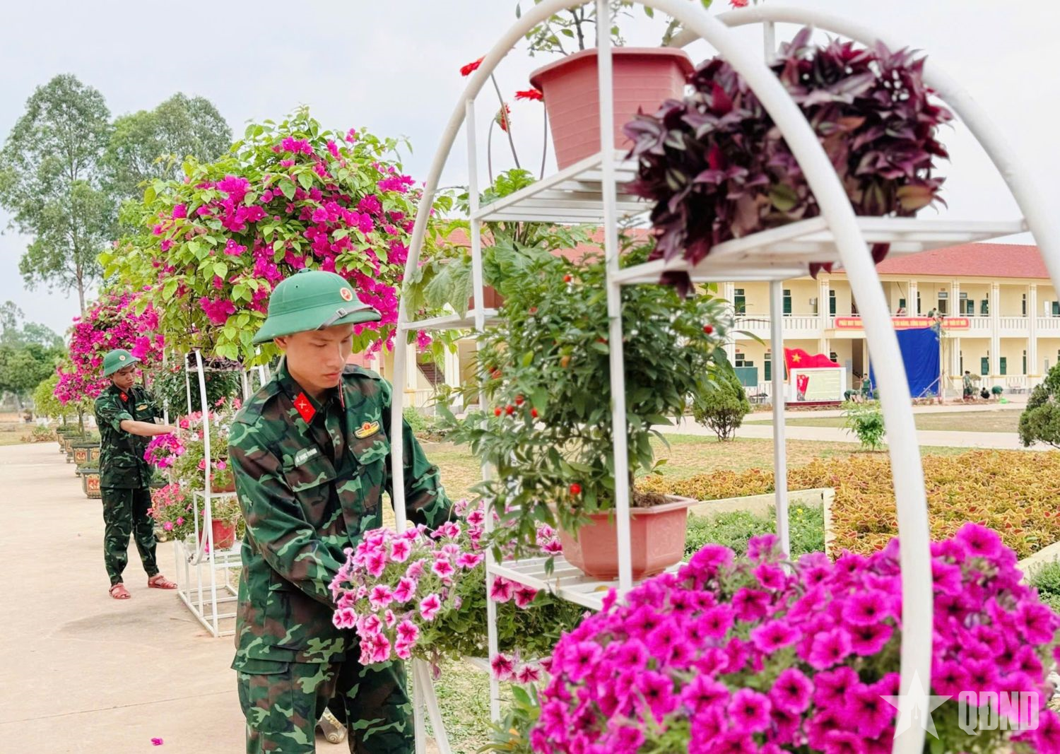 Trung đoàn 101 (Sư đoàn 325, Quân đoàn 12): Điểm sáng doanh trại chính quy, xanh, sạch, đẹp